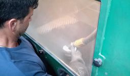 Piccola cabina di sabbiatura manuale